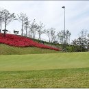 이스트힐 골프클럽 이미지