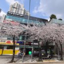 세븐일레븐 밤섬자이 행복점 이미지