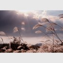좋은날오후 - 고양시 일산동구 | 좋은날오후