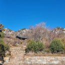 영운 상208호(비39) | [창녕군 관룡산 관룡사] 독특한 향기를 가진 고찰