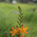 아라민박 이미지