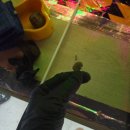 대동실내낚시터 | 인천실내낚시터ㅣ초등 아이와 즐긴 잊지 못 할 낚시체험 후기