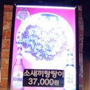 소새끼와육사시미 이미지