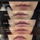 김송이의원 이미지