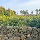 두모산책 이미지