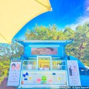 메리앤웨딩