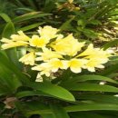 좋은인연 이미지