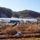 마을회관 정자옆 이미지