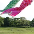 토미텔레콤 | #180425 5박 6일 일본여행 준비하기