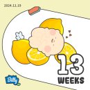 임신 주수별 증상 중기 임산부 13주차~20주차 6개월 태아 성별 확인