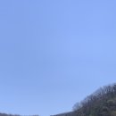 감나무목장 이미지