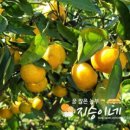 지승이네농장 이미지