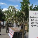 시청광장입구 이미지