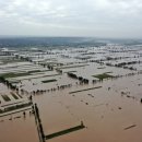 보나테크 이미지