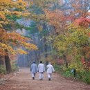 오대산 반찬 이미지