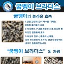 풍은건강원