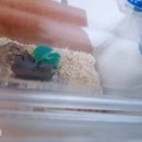 청암학교(청암앤) 이미지