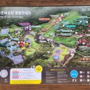 대지전설(주) 이미지