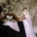 1108 | 웨딩 본식 스냅1108 예약 후기 :)