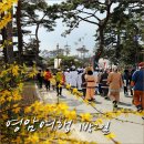 녹색로 41 | 2014 영암왕인문화축제와 함께 영암 1박2일 여행코스
