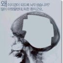 한국염소연구소 이미지