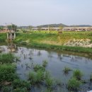 대장천생태습지 공원화장실 이미지