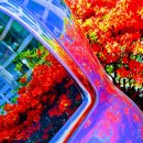 힐타운 공인중개사사무소 이미지