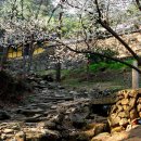 고견사 - 1858 | 고견사