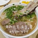 포레스트 오늘,숲 수원영통점