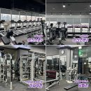 1981골프앤휘트니스