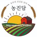 진담(진심을담다)