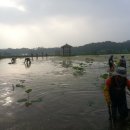 내동마을 영농조합법인 이미지