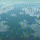 가재마을911동앞 | 닌텐도 짱구 탄광마을 흰둥이 후기 3탄 힐링게임 추천