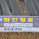 영생농장 이미지