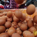 정정농장 이미지