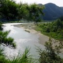 소나무숲민박 이미지