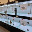 미유펫 강아지분양 고양이분양 전주점 이미지