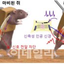 바오엔지니어링