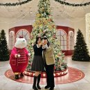 원더랜드 이미지