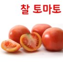 토마토 - 청주시 상당구 상당로121번길 38 | 토마토
