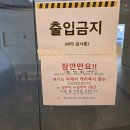 줄눈하는날