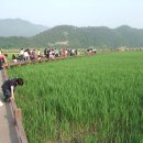 순천만그리고나 이미지