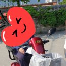 (주)휠로피아 이미지