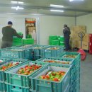 영농조합법인 부성 이미지