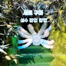 소주 새로 구미 성수 팝업