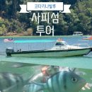 [말레이시아] 내돈내산 코타키나발루 사피섬 투어 짱임｜호텔 픽업 + 스노클링 + 점심까지 제공 후기