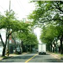 구엄리조트 이미지