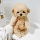 애현1길 이미지