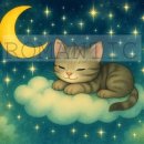 구름위의고양이 이미지