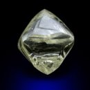 메이커블(makeable) 이미지